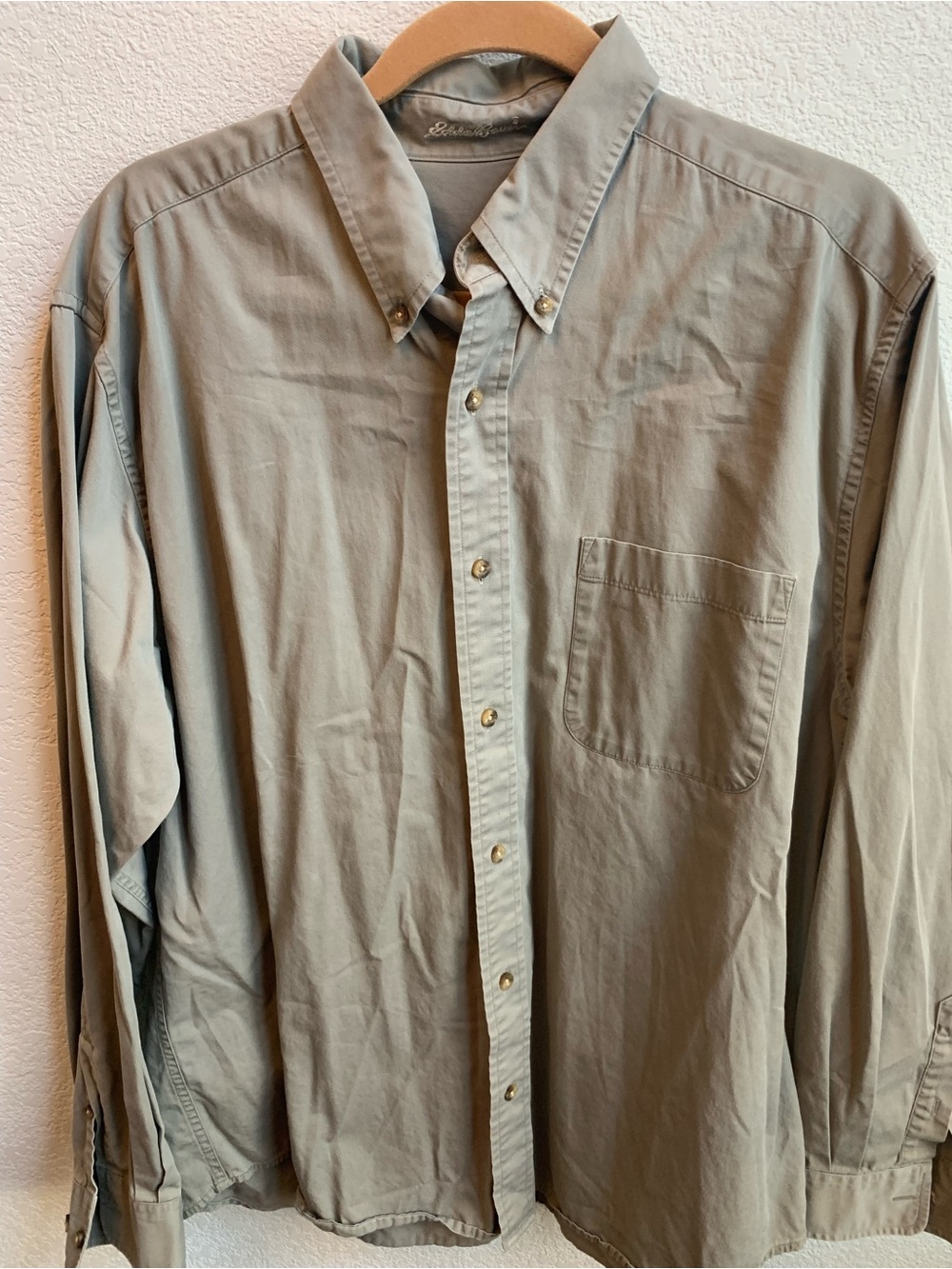 Eddie Bauer Men's Button-Down Shirt in Light Olive Green